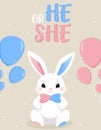 Baby Shower or gender party card. invitation gender party. Cute bunny and balloons